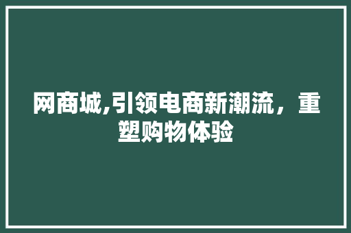 网商城,引领电商新潮流，重塑购物体验