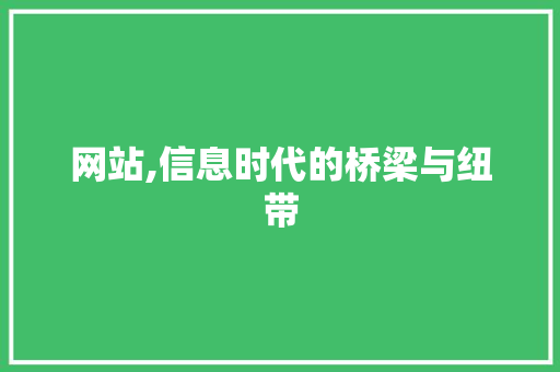 网站,信息时代的桥梁与纽带