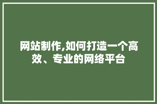 网站制作,如何打造一个高效、专业的网络平台 Docker