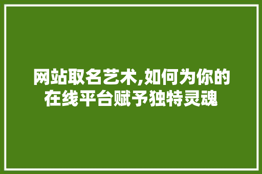 网站取名艺术,如何为你的在线平台赋予独特灵魂 Java