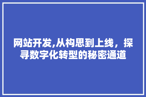 网站开发,从构思到上线，探寻数字化转型的秘密通道