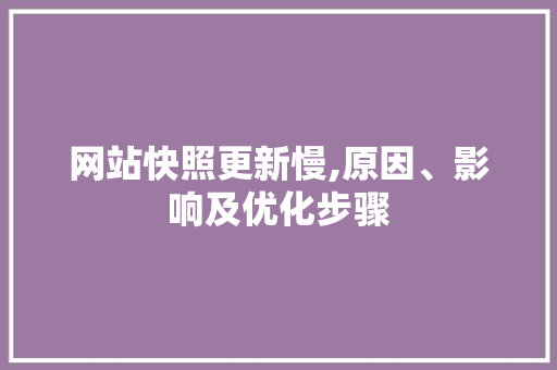 网站快照更新慢,原因、影响及优化步骤 NoSQL