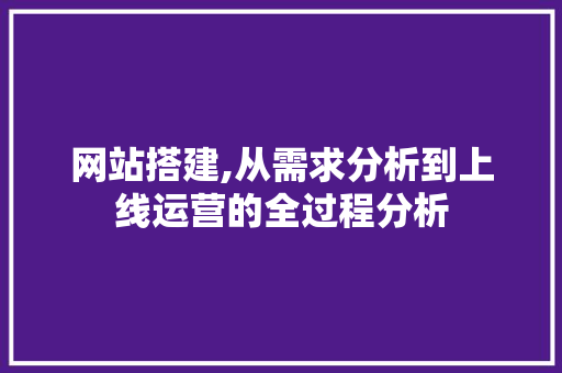 网站搭建,从需求分析到上线运营的全过程分析