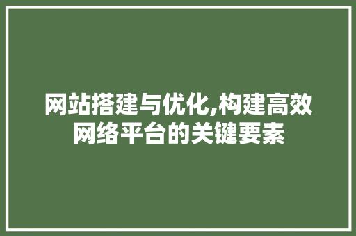 网站搭建与优化,构建高效网络平台的关键要素 JavaScript