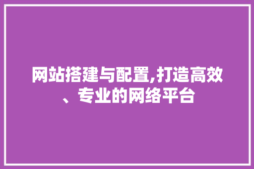 网站搭建与配置,打造高效、专业的网络平台