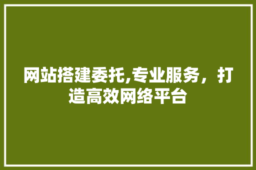 网站搭建委托,专业服务，打造高效网络平台 JavaScript