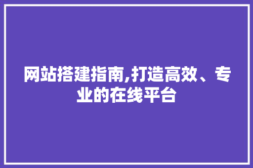 网站搭建指南,打造高效、专业的在线平台 HTML