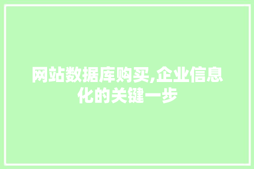 网站数据库购买,企业信息化的关键一步 CSS