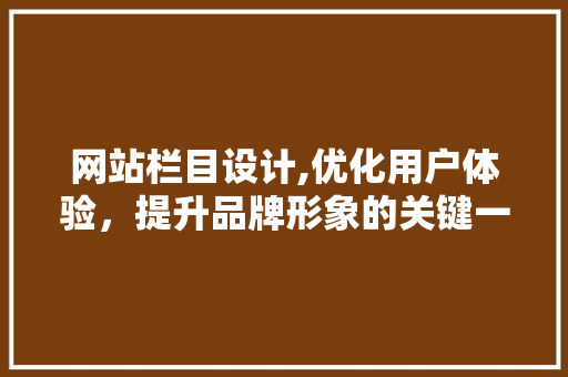 网站栏目设计,优化用户体验，提升品牌形象的关键一环