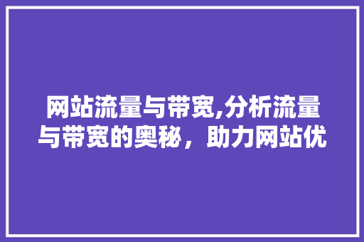 网站流量与带宽,分析流量与带宽的奥秘，助力网站优化