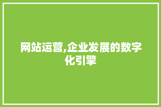 网站运营,企业发展的数字化引擎 CSS