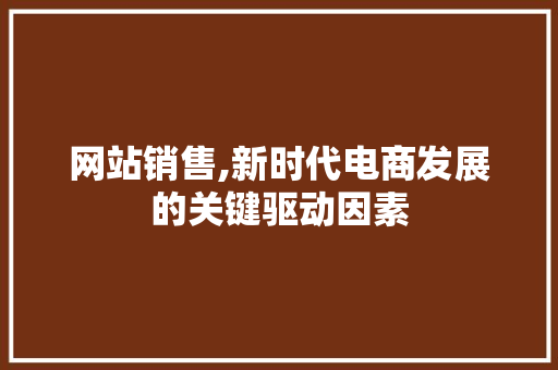 网站销售,新时代电商发展的关键驱动因素