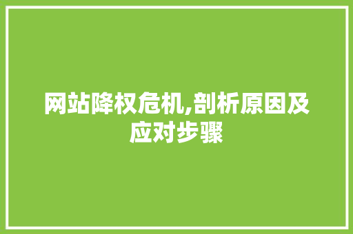 网站降权危机,剖析原因及应对步骤