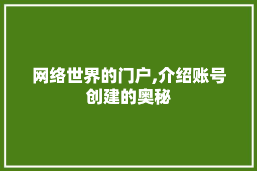 网络世界的门户,介绍账号创建的奥秘