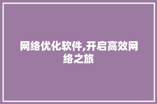 网络优化软件,开启高效网络之旅 Ruby