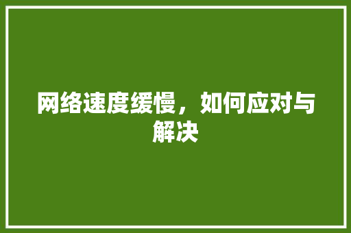 网络速度缓慢，如何应对与解决