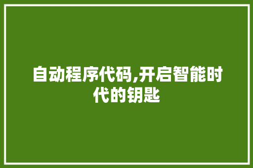 自动程序代码,开启智能时代的钥匙 Java