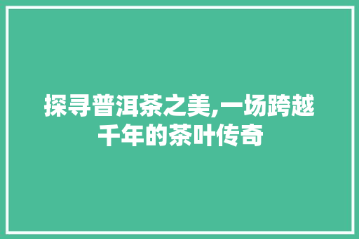 探寻普洱茶之美,一场跨越千年的茶叶传奇