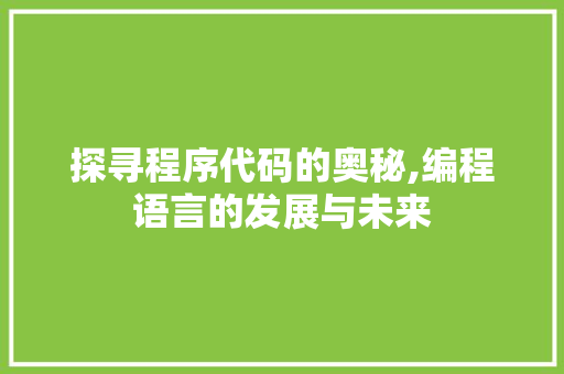 探寻程序代码的奥秘,编程语言的发展与未来 Ruby