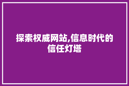 探索权威网站,信息时代的信任灯塔