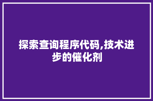 探索查询程序代码,技术进步的催化剂