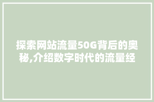 探索网站流量50G背后的奥秘,介绍数字时代的流量经济