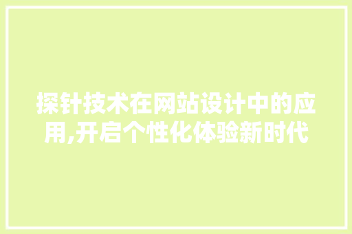 探针技术在网站设计中的应用,开启个性化体验新时代