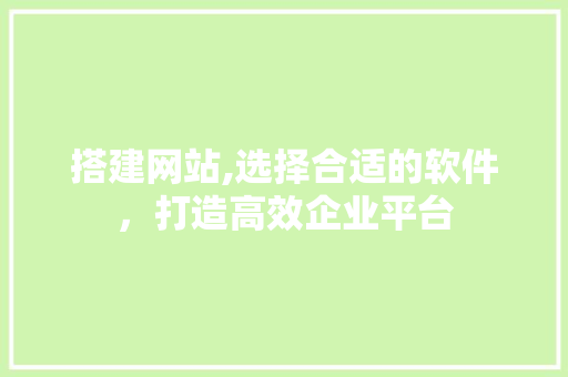 搭建网站,选择合适的软件，打造高效企业平台 Angular