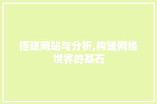 搭建网站与分析,构建网络世界的基石