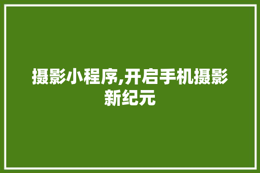 摄影小程序,开启手机摄影新纪元