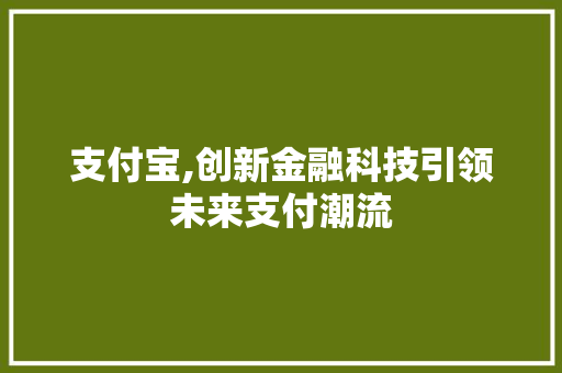 支付宝,创新金融科技引领未来支付潮流