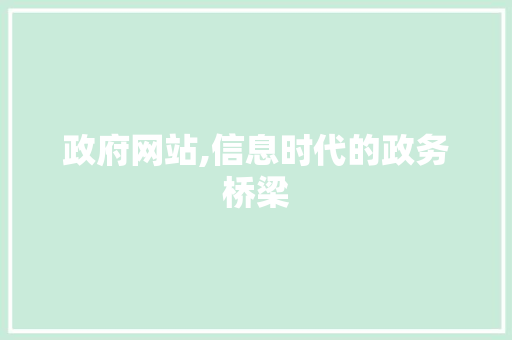 政府网站,信息时代的政务桥梁