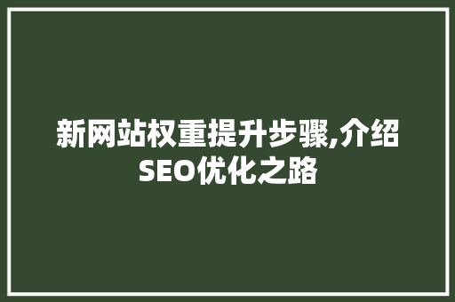 新网站权重提升步骤,介绍SEO优化之路 Node.js