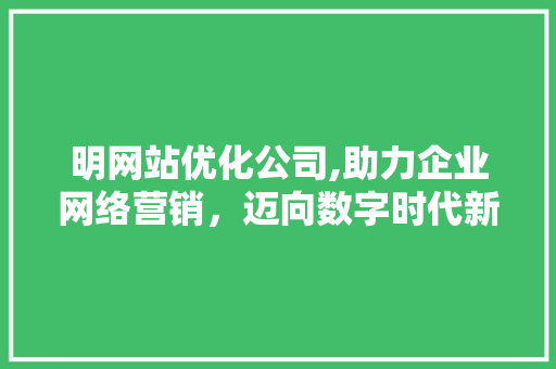 明网站优化公司,助力企业网络营销，迈向数字时代新高峰