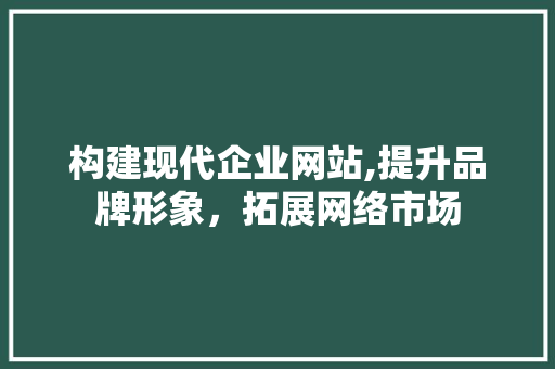 构建现代企业网站,提升品牌形象，拓展网络市场