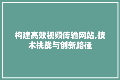 构建高效视频传输网站,技术挑战与创新路径 JavaScript