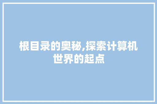 根目录的奥秘,探索计算机世界的起点