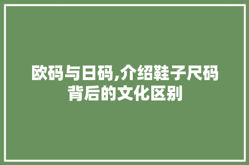 欧码与日码,介绍鞋子尺码背后的文化区别 RESTful API