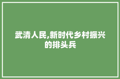 武清人民,新时代乡村振兴的排头兵