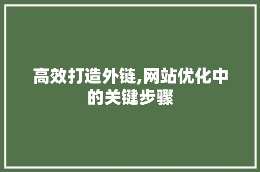 高效打造外链,网站优化中的关键步骤 Python