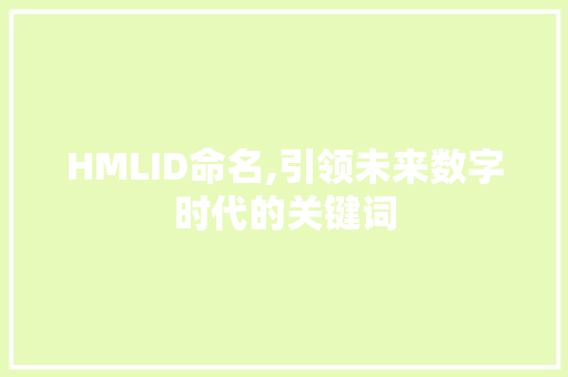 HMLID命名,引领未来数字时代的关键词