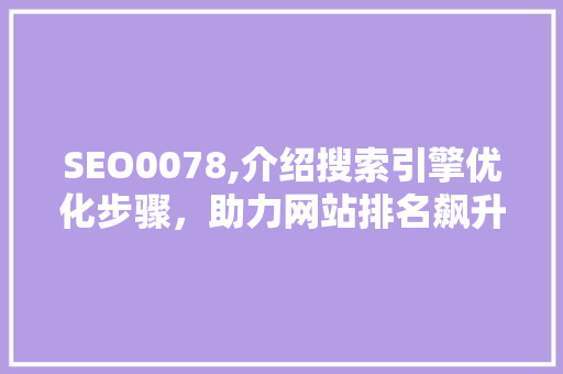 SEO0078,介绍搜索引擎优化步骤，助力网站排名飙升 CSS