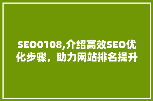 SEO0108,介绍高效SEO优化步骤，助力网站排名提升 HTML