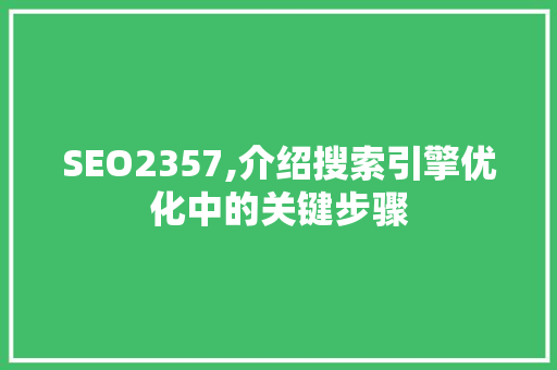 SEO2357,介绍搜索引擎优化中的关键步骤 Angular