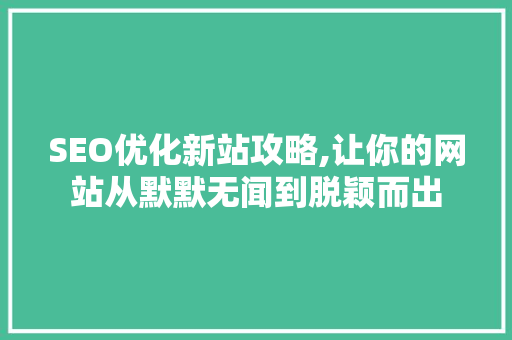 SEO优化新站攻略,让你的网站从默默无闻到脱颖而出 Angular