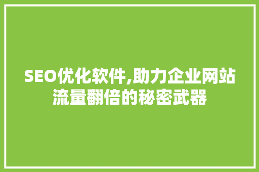 SEO优化软件,助力企业网站流量翻倍的秘密武器 Webpack