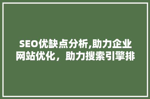 SEO优缺点分析,助力企业网站优化，助力搜索引擎排名提升 Webpack