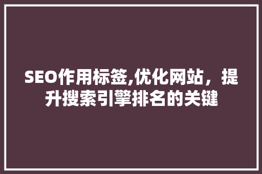 SEO作用标签,优化网站，提升搜索引擎排名的关键