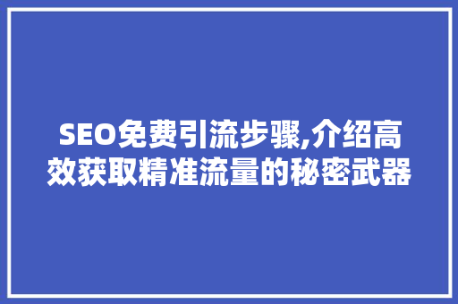 SEO免费引流步骤,介绍高效获取精准流量的秘密武器 CSS