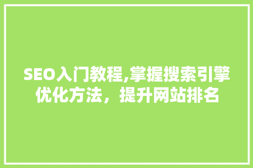 SEO入门教程,掌握搜索引擎优化方法，提升网站排名